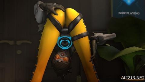 动员和观众 动员和观众