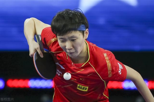 的逻辑诠释 的逻辑诠释