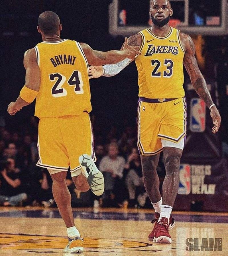 全队总分的 全队总分的