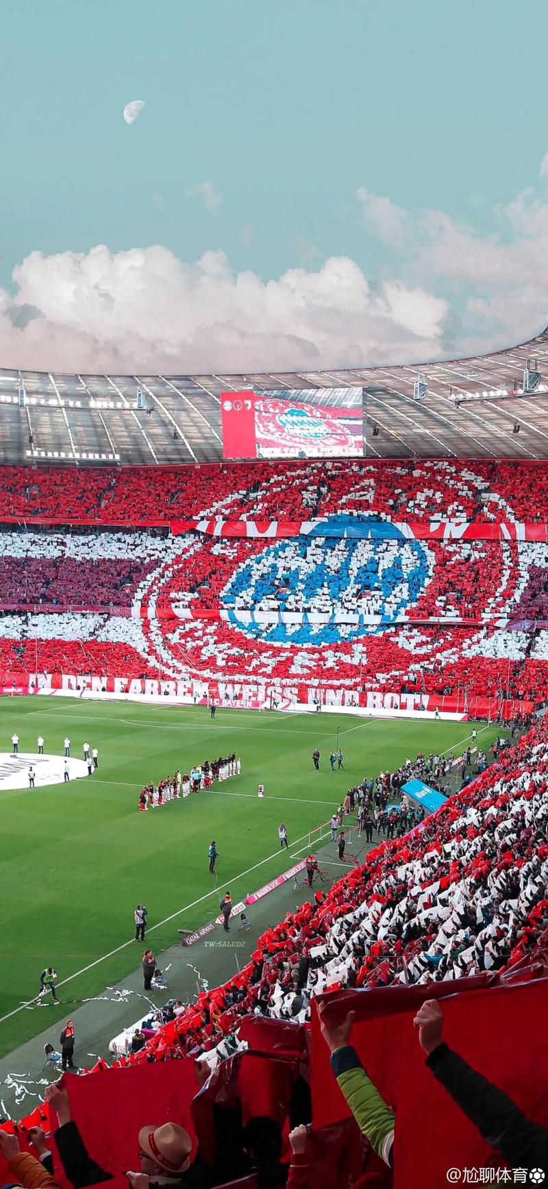 4231